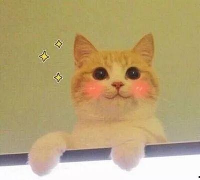 猫猫永不为奴娱乐吃瓜酱,揭秘娱乐圈幕后趣闻